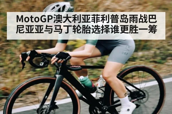 MotoGP澳大利亚菲利普岛雨战巴尼亚亚与马丁轮胎选择谁更胜一筹(c7entertainment)